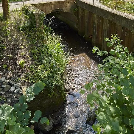 Priester- Und Gastehaus Marienau Vallendar
