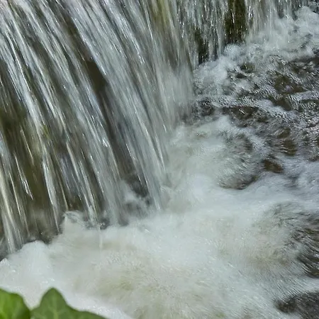 Casa de hóspedes Priester- Und Gastehaus Marienau Vallendar