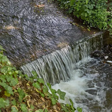 Priester- Und Gastehaus Marienau *