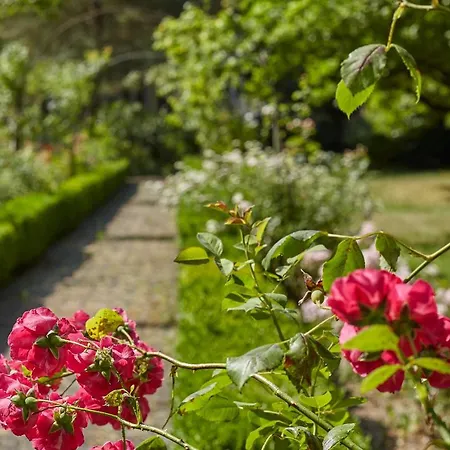 Πανσιόν Priester- Und Gastehaus Marienau