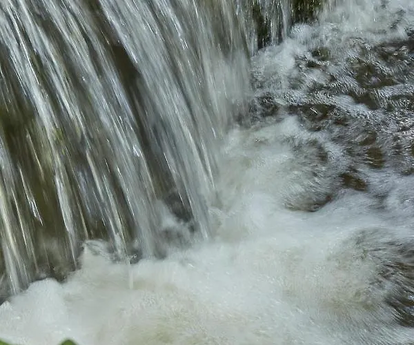 게스트하우스 Priester- Und Gastehaus Marienau 발렌다